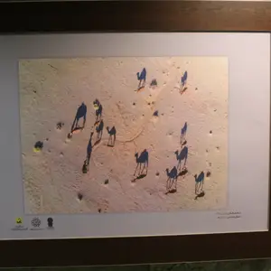2017-04-21 - Tehran Subway Art