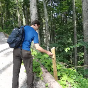 2012-08-04 - Baumkunde