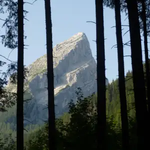 2013-08-03